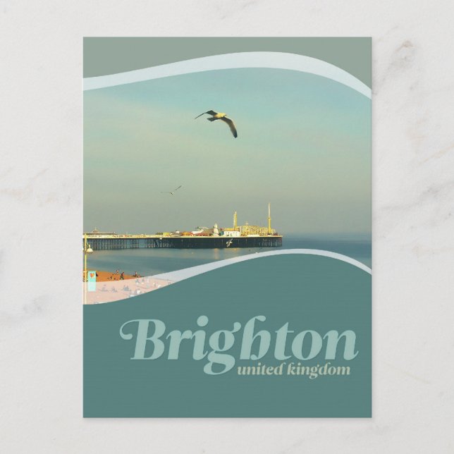 Brighton Pier Seagull Postcard (Front)