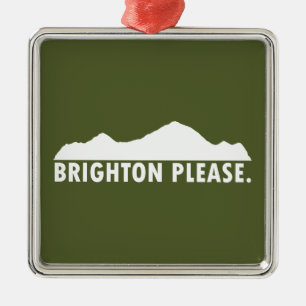 Brighton Please Metal Ornament