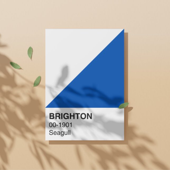 Brighton Seagull Blue and White - Full Width Poster (Creator Uploaded)