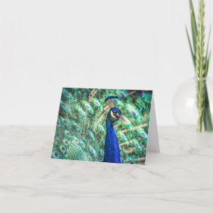 Brillant dans les cartes de note bleues et vertes