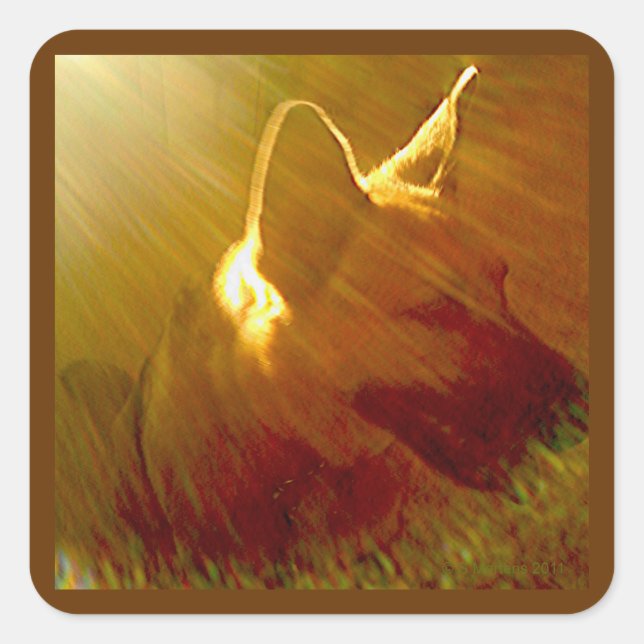 Brille Sur Moi Berger Allemand Sticker #1 (Devant)