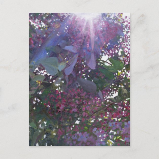 Brilliance 2014 postcard (Front)