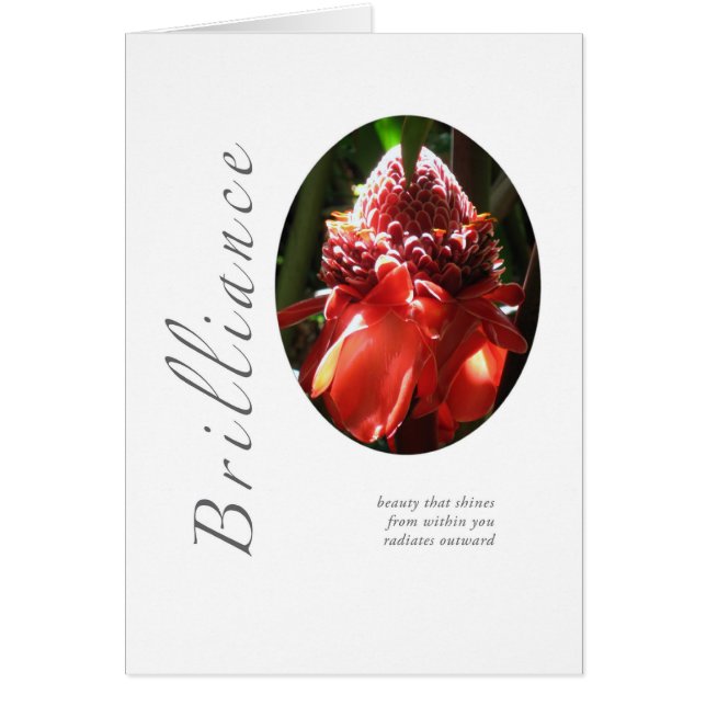 Brilliance Torched Ginger (Front)