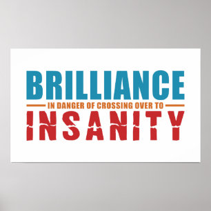 BRILLIANCE VS INSANITY custom colour poster