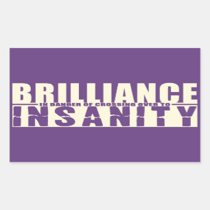 BRILLIANCE VS INSANITY custom stickers