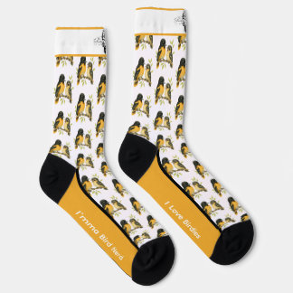 Brilliant Baltimore Oriole Bird Socks