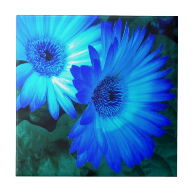 Brilliant Blue Daisies Tile Trivet (Front)