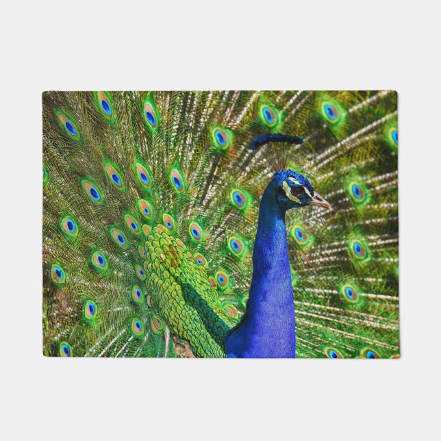 Brilliant Blue Peacock Doormat (Front)