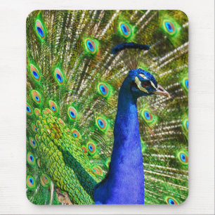 Brilliant Blue Peacock Mouse Pad