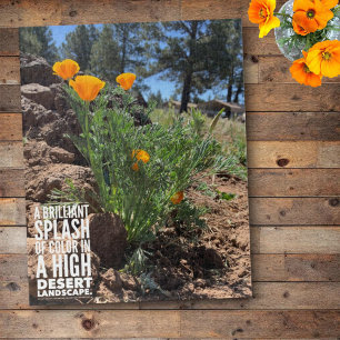 Brilliant California Poppies Close-Up Photograph Jigsaw Puzzle