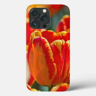 Brilliant Colour Tulips  iPhone 13 Pro Case