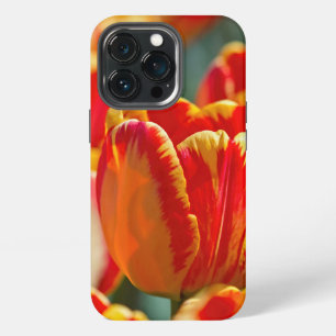 Brilliant Colour Tulips iPhone 13 Pro Case