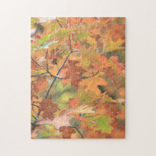 Brilliant Colourful Fall Leaves Family Fun Time Jigsaw Puzzle
