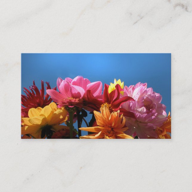 Brilliant Dahlias ATC Business Card (Front)