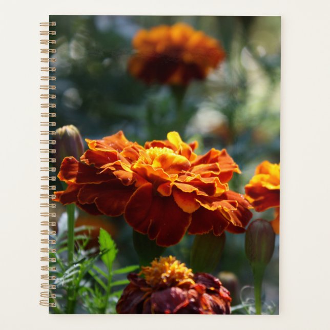 Brilliant Marigolds Macro Photograph Planner (Front)