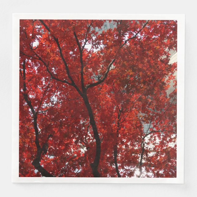 Brilliant Red Fall Leaves with Black Limbs on a Napkin (Front)
