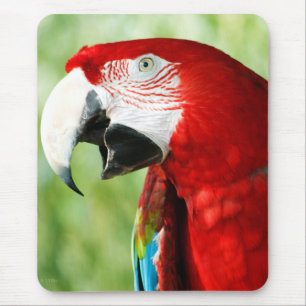 Brilliant Red Mouse Pad