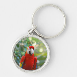 Brilliant Red Parrot Keychain