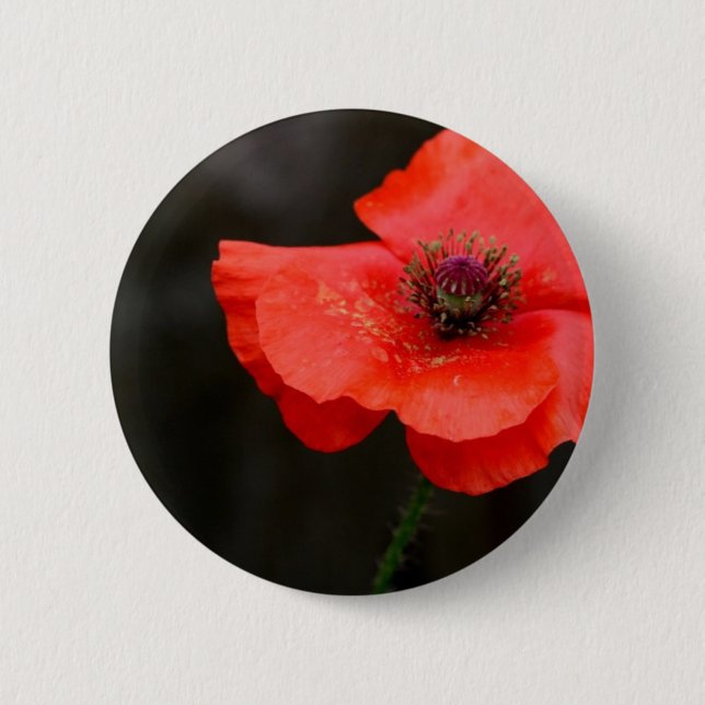 Brilliant Red Poppy 2 Inch Round Button (Front)