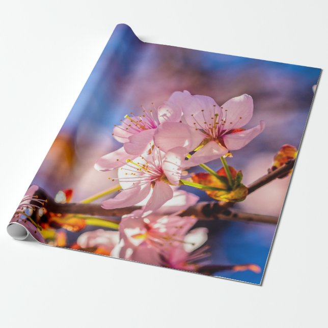 Brilliant Sakura Blossoms Wrapping Paper (Unrolled)