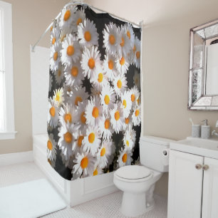Brilliant White Daisies On Black Floral Art