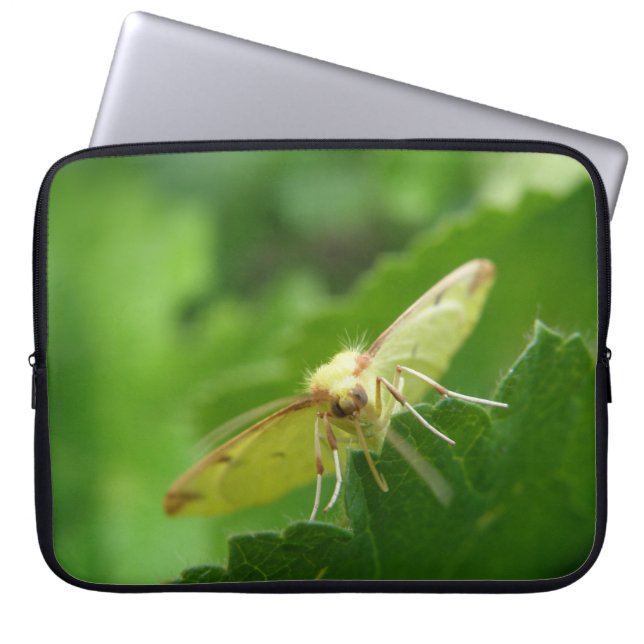 Brimstone Moth Laptop Bag (Front)