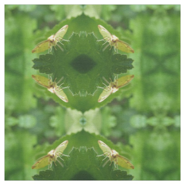 Brimstone Moth Patterned Craft Fabric (Swatch)