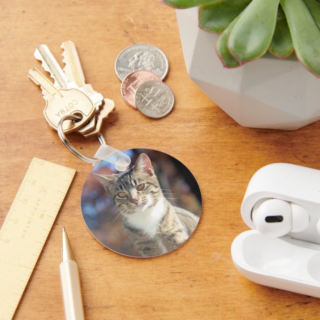 Brin Keychain (Desk)