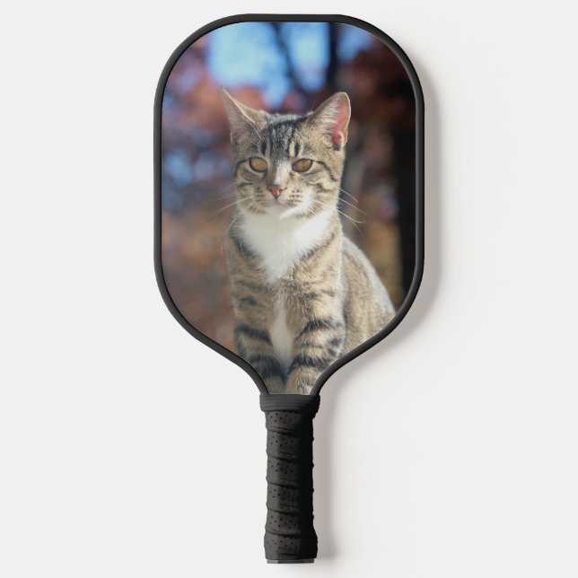 Brin Pickleball Paddle (Front)