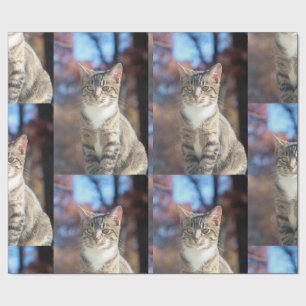 Brin Wrapping Paper