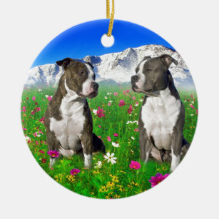 Brindle & Blue Staffordshire & Pit Bull Dogs Ceramic Ornament