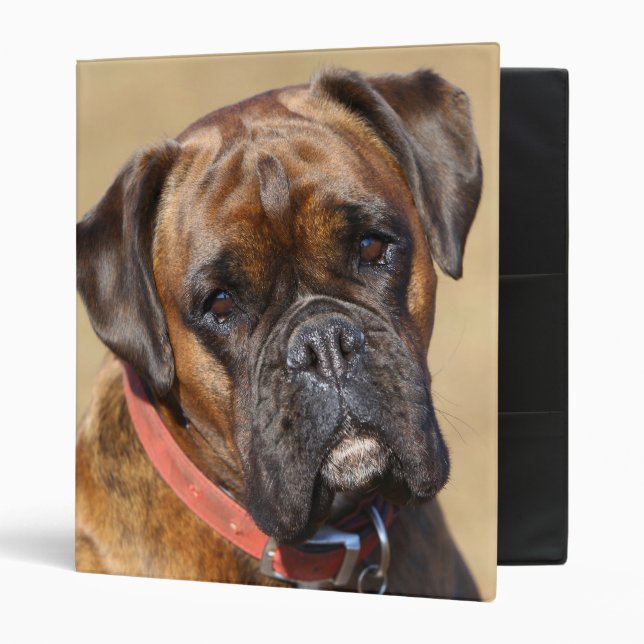 Brindle Boxer Dog Binder (Front/Inside)