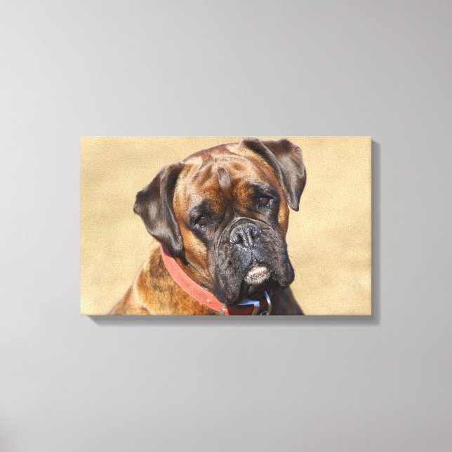 Brindle Boxer Dog Canvas Print (Front)