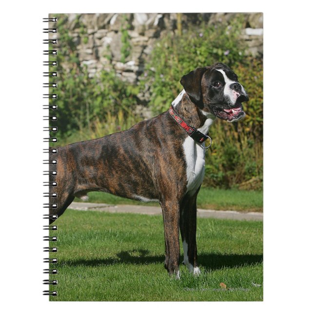 Brindle Boxer Dog Show Stance Notebook (Front)