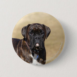 Brindle Boxer Dog Standing 2 Inch Round Button