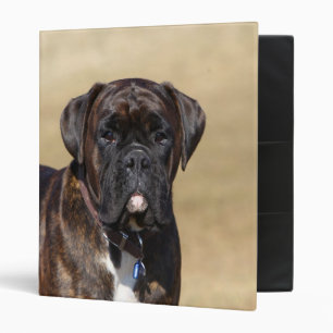 Brindle Boxer Dog Standing Binder