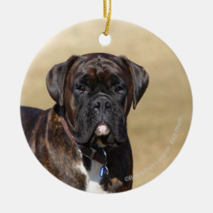 Brindle Boxer Dog Standing Ceramic Ornament