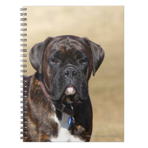Brindle Boxer Dog Standing Notebook