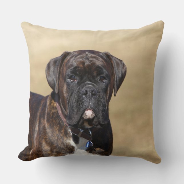 Brindle Boxer Dog Standing Throw Pillow (Front)