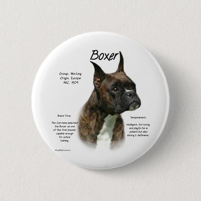 Brindle Boxer History  2 Inch Round Button (Front)
