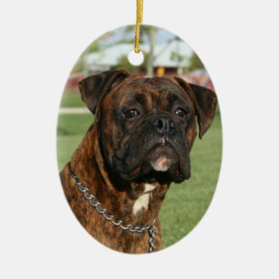 Brindle boxer ornament