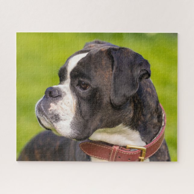 Brindle Boxer Puppy Dog Jigsaw Puzzle (Horizontal)