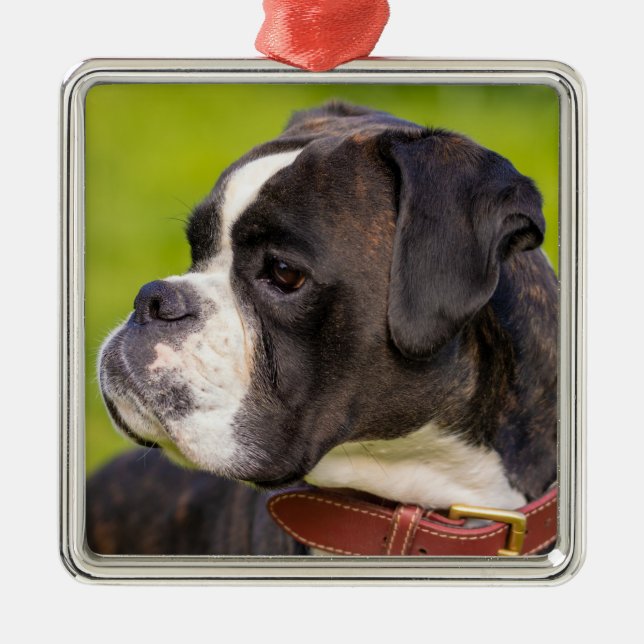 Brindle Boxer Puppy Dog Metal Ornament (Front)