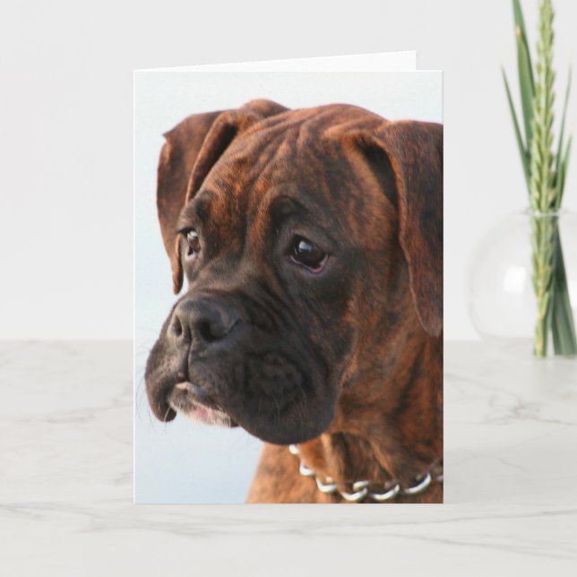 Brindle boxer puppy greeting card (Front)