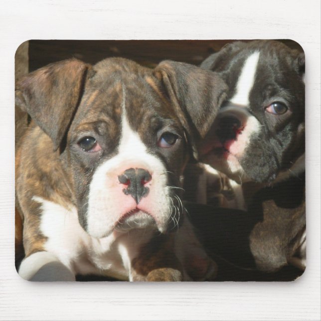 Brindle boxer pups mousepad (Front)