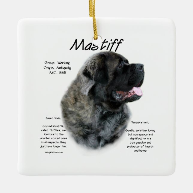Brindle Fluffy Mastiff History  Ceramic Ornament (Front)