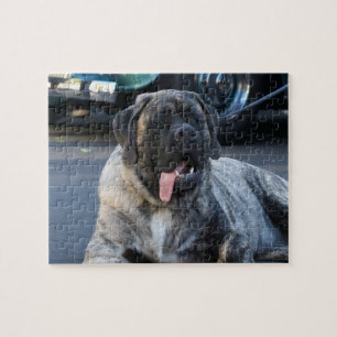 Brindle Mastiff Dog Jigsaw Puzzle