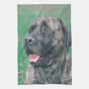 Brindle Mastiff Dog Kitchen Towel