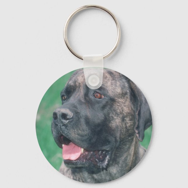 Brindle Mastiff Keychain (Front)