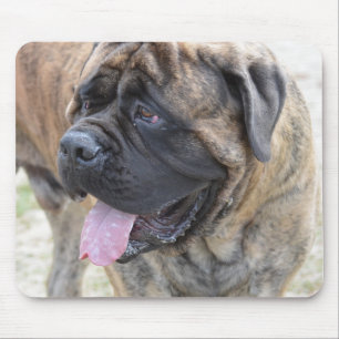 Brindle Mastiff Mouse Pad